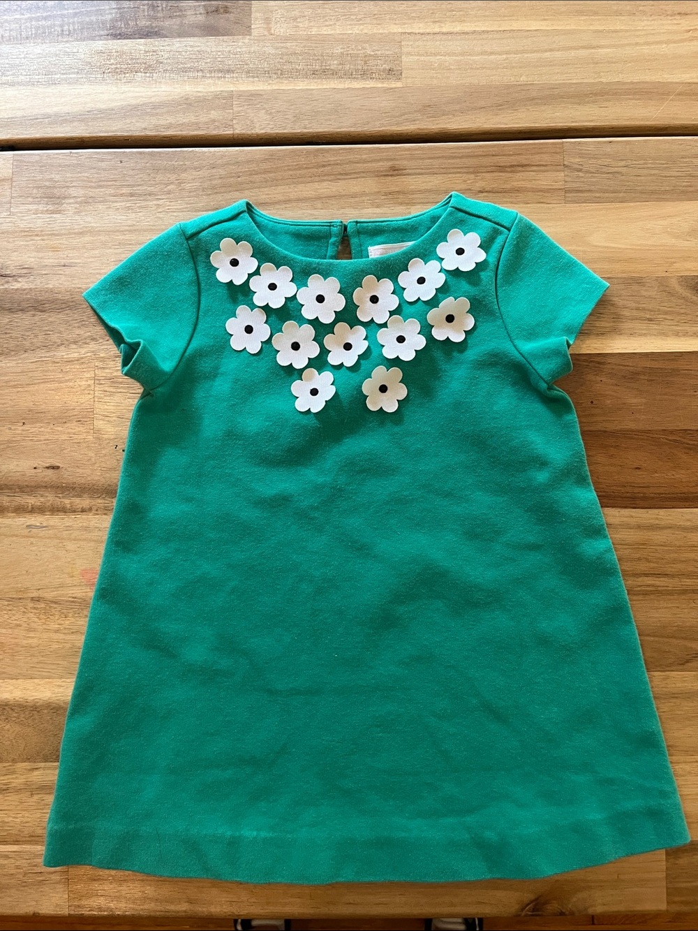 Janie and Jack Green Dress with White Flower Appliqués